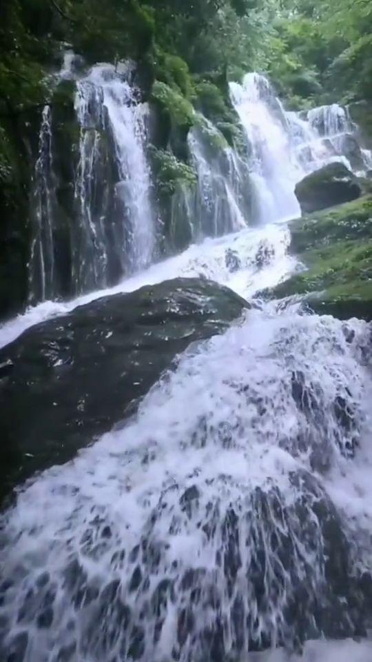 次元喵